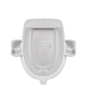 Писсуар подвесной Qtap Baby 420х300х465 White с рисунком QT2388U460EWD