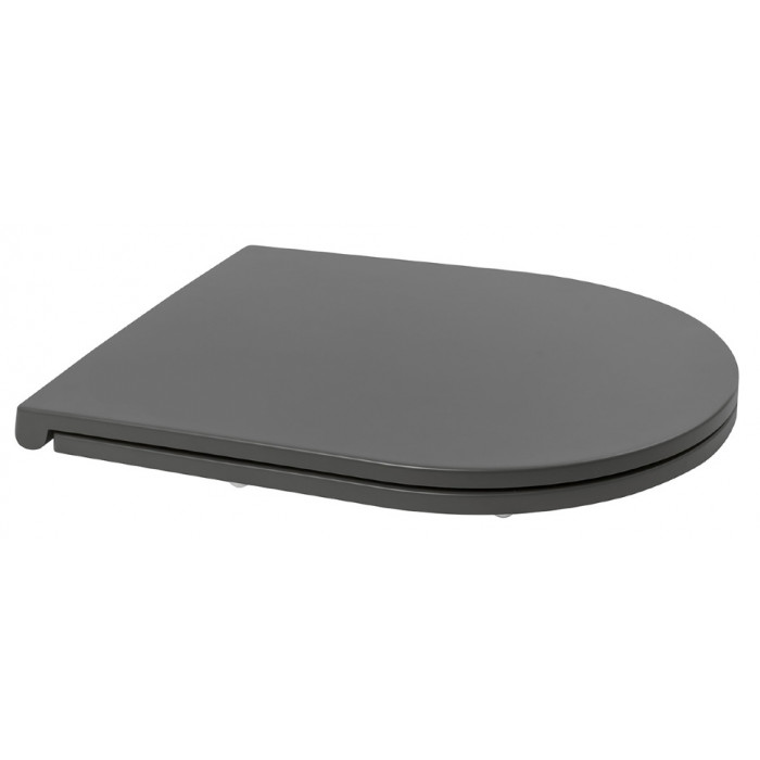 Сидіння Isvea Infinity F50 soft close (40KF0522I-S Anthracite)