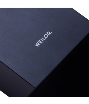 Вытяжка декоративная наклонная WEILOR WDS 62301 R BL 1000 LED