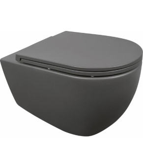 Сиденье Isvea Infinity F50 soft close (40KF0522I-S Anthracite)