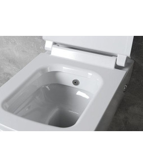 Унитаз Isvea Purita cleanWash с функцией биде (10PLS1005I+40S30200I)