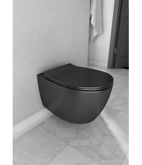 Унитаз Isvea Sentimenti Neo подвесной RimLess, сиденье soft close, инстал. Grohe Rapid (10AR02010+40D40521I+38840000K)