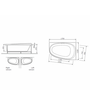Ванна акриловая AM.PM Like W80A-170R110W-A