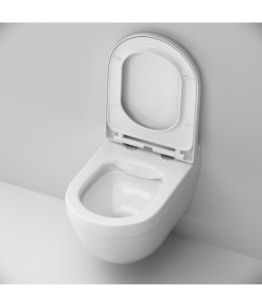 Унитаз подвесной безободковый FlashClean с сидением микролифт AM.PM Hit C931700SC