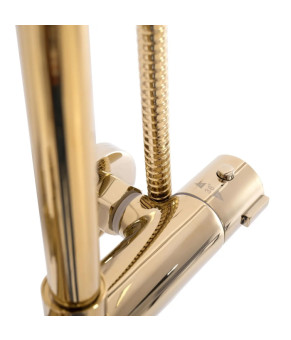 Душевая система Rea Bliss gold REA-P8806