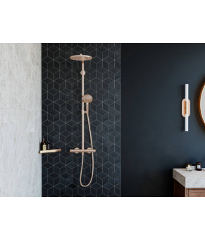 Полка Hansgrohe Addstoris 41741140