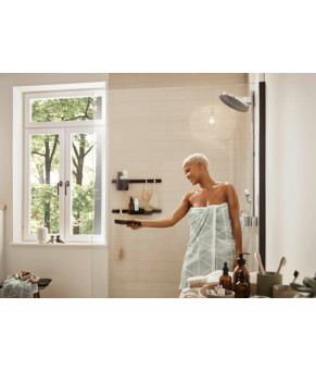 Полочка-корзина Hansgrohe Wallstoris 27913670