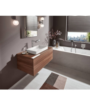 Ручной душ Hansgrohe Pulsify 24120000