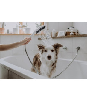 Душевая лейка для собак Hansgrohe Dogshower 26640700