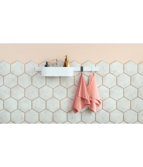 Крючок Hansgrohe Wallstoris 27929700