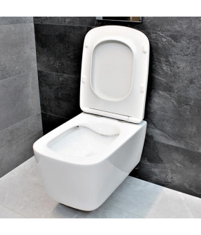 Унитаз DUSEL BYRON подвесной DWHT10202130 с сиденьем Soft Close дюропласт 810308