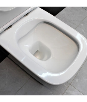 Унитаз DUSEL BYRON подвесной DWHT10202130 с сиденьем Soft Close дюропласт 810308
