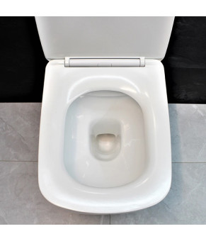 Унитаз DUSEL BYRON подвесной DWHT10202130 с сиденьем Soft Close дюропласт 810308