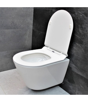 Унитаз DUSEL TERI подвесной DWHT10202330 с сиденьем Soft Close дюропласт 823301