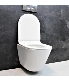 Унитаз DUSEL TERI подвесной DWHT10202330 с сиденьем Soft Close дюропласт 823301