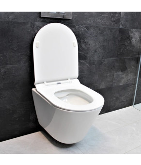 Унитаз DUSEL TERI подвесной DWHT10202330 с сиденьем Soft Close дюропласт 823301