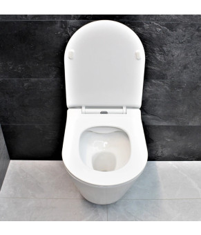 Унитаз DUSEL TERI подвесной DWHT10202330 с сиденьем Soft Close дюропласт 823301