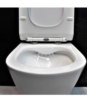 Унитаз DUSEL TERI подвесной DWHT10202330 с сиденьем Soft Close дюропласт 823301
