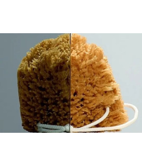 Душевая кабина Aquanil Alonza 90х90х190 см тонированное стекло