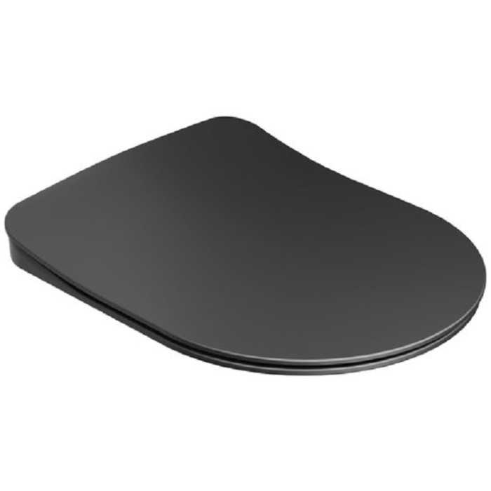WC сидіння Ravak Uni Chrome Flat чорний X01795