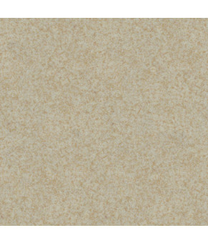 Кухонная мойка VANKOR Vena VMR 01.48 Beige