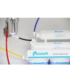 Фильтр обратного осмоса Ecosoft Absolute MO550ECO