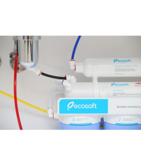 Фильтр обратного осмоса Ecosoft Absolute MO550ECO