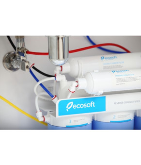 Фильтр обратного осмоса Ecosoft Absolute 6-50 с минерализатором MO650MECO