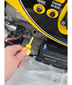 Генератор профессиональный со стартером и медной обмоткой Pottal PTG2500E 2,2 кВт