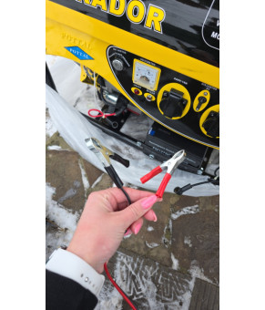 Генератор профессиональный со стартером и медной обмоткой Pottal PTG2500E 2,2 кВт