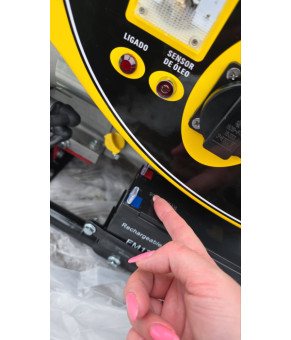 Генератор профессиональный со стартером и медной обмоткой Pottal PTG2500E 2,2 кВт