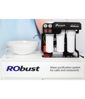 Фильтр обратного осмоса Ecosoft RObust 1000 ROBUST1000