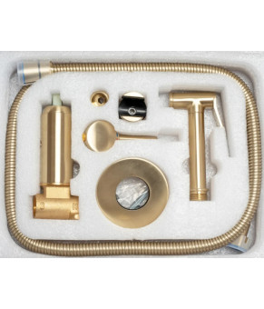 Гігієнічний набір Rea Lungo brashed gold (REA-B6311)