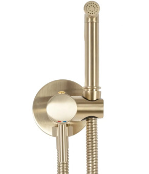 Гігієнічний набір Rea Lungo brashed gold (REA-B6311)