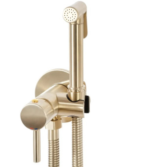 Гігієнічний набір Rea Lungo brashed gold (REA-B6311)