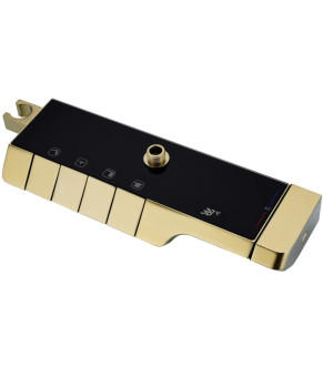 Душова система Rea Rob brushed gold (REA-P6623)