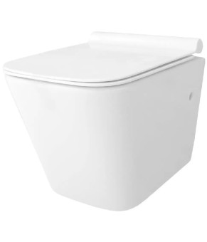 Унітаз Rea Raul + сидіння slim soft-close + інсталяція Geberit Duofix (REA-C9660+458.126.00.1)