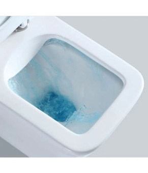 Унітаз Rea Ramon + інсталяція Grohe Rapid SL, клавіша (REA-C8536 + 38772001)