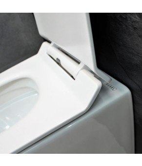 Инсталляция GROHE Rapid SL 38772001+ Унитаз подвесной DUSEL AREZ + Сидение Slim Soft-Close + Панель смыва Grohe Skate Cosmopolitan (928802)