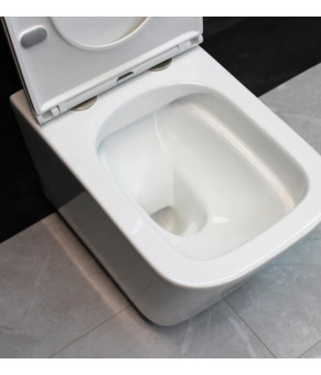 Инсталляция GROHE Rapid SL 38772001+ Унитаз подвесной DUSEL IVIA+ Сидение Slim Soft-Close + Панель смыва Grohe Skate Cosmopolitan (928806)