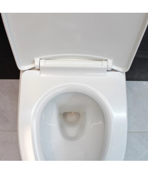 Инсталляция GROHE Rapid SL 38772001+ Унитаз подвесной DUSEL SENTIA+ Сидение Slim Soft-Close + Панель смыва Grohe Skate Cosmopolitan (928810)