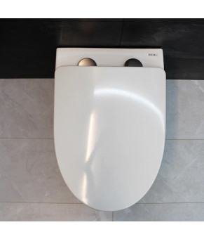 Инсталляция GROHE Rapid SL 38772001+ Унитаз подвесной DUSEL SENTIA+ Сидение Slim Soft-Close + Панель смыва Grohe Skate Cosmopolitan (928810)