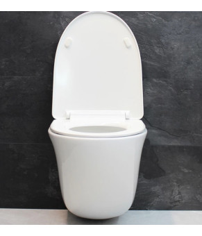 Инсталляция GROHE Rapid SL 38772001+ Унитаз подвесной DUSEL SENTIA+ Сидение Slim Soft-Close + Панель смыва Grohe Skate Cosmopolitan (928810)