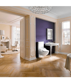 Крышка биде GEBERIT AQUACLEAN 5000