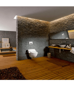 Крышка биде GEBERIT AQUACLEAN 5000