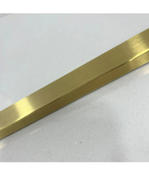 Душевая стенка DUSEL Walk-In WL172G Gold 1000*2000 (8мм)