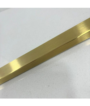 Душевая стенка DUSEL Walk-In WL172G Gold 1000*2000 (8мм)