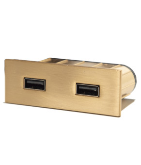 Вбудований USB-зарядний порт ASA Plastici VersaPick 060.29Z.00056 золото