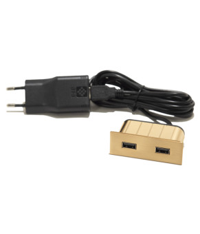 Вбудований USB-зарядний порт ASA Plastici VersaPick 060.29Z.00056 золото