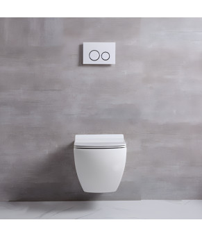 Унітаз підвісний Aquastream Soft Close дюропласт